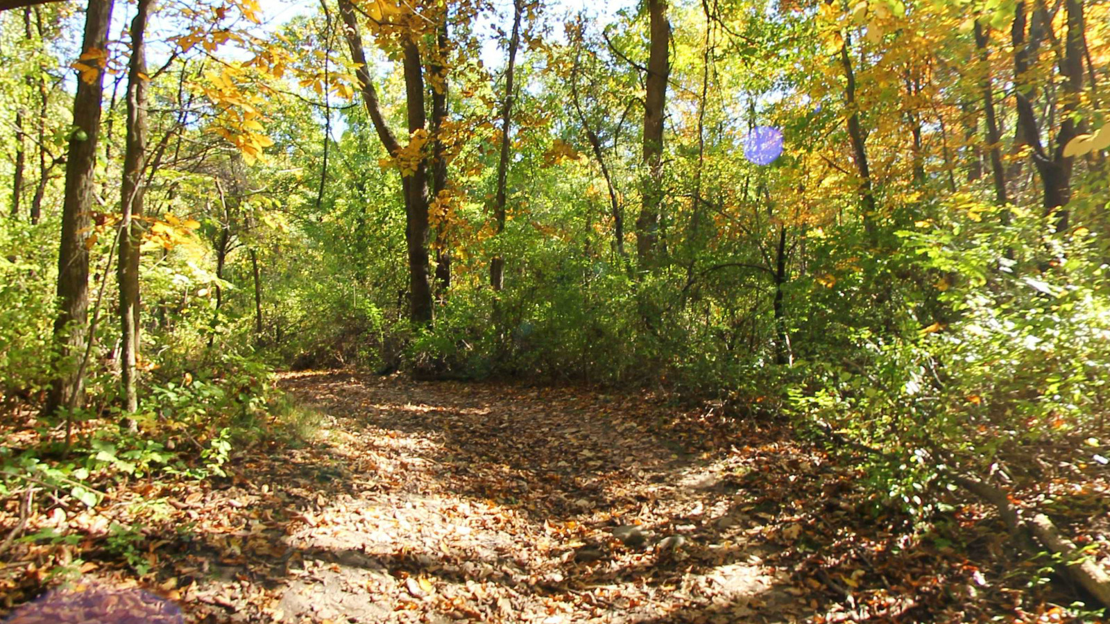 Recorded view from Bald Mountain State Rec Area — Bald Mountain State Park North Unit Trails