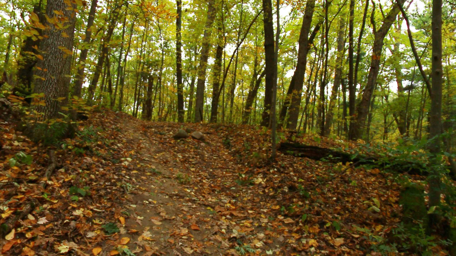 Recorded view from Pinckney State Rec Area — Potawatomi Trail & Silver Lake Trail
