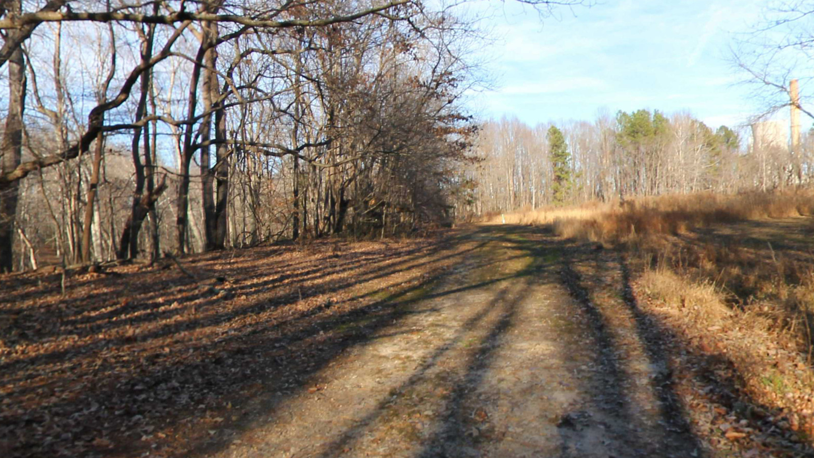 Recorded view from Maxwell Hall Park — Green Trail Maxwell Hall