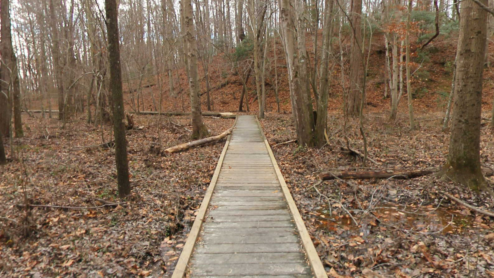 Recorded view from Gilbert Run Park — Gilbert Run Trail