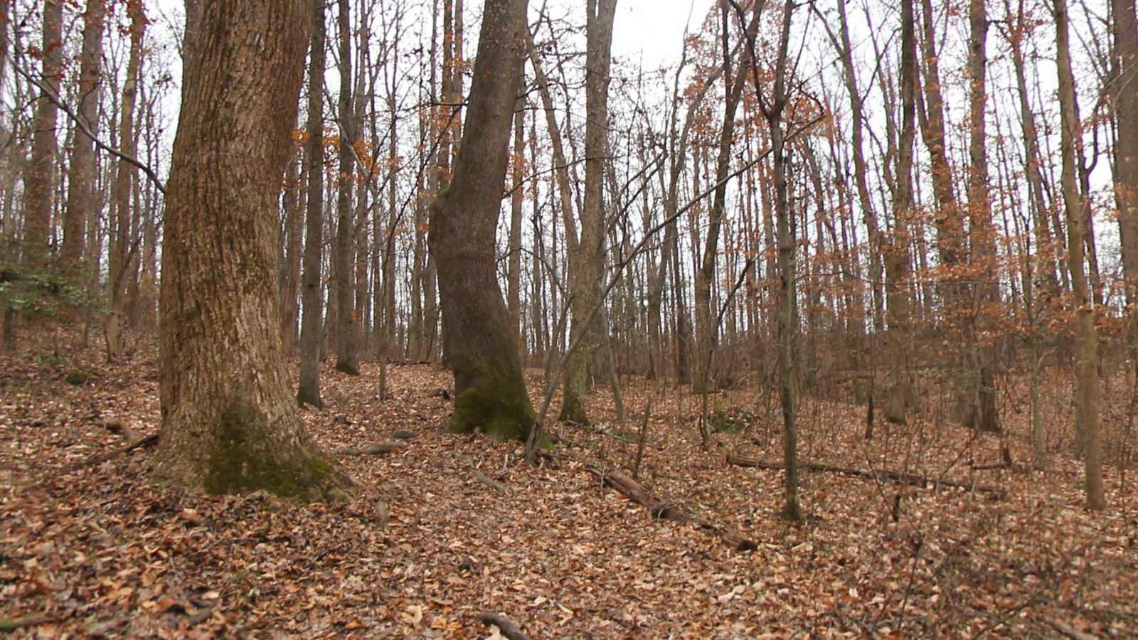Recorded view from Friendship Park — Friendship Red Trail