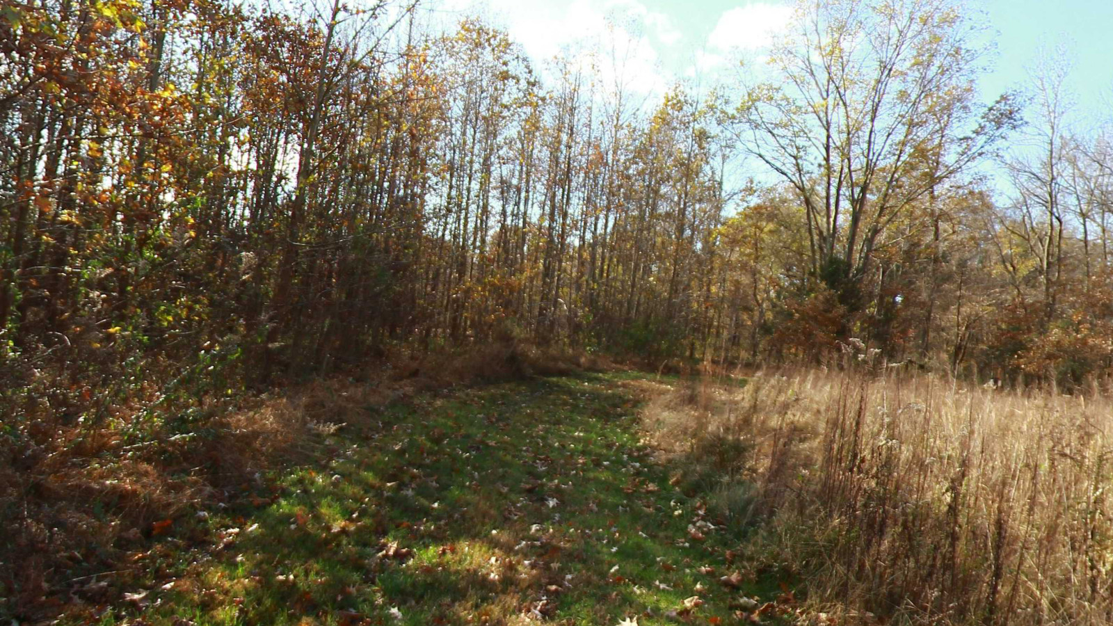 Recorded view from Riverfront Park — Butterfly Trail