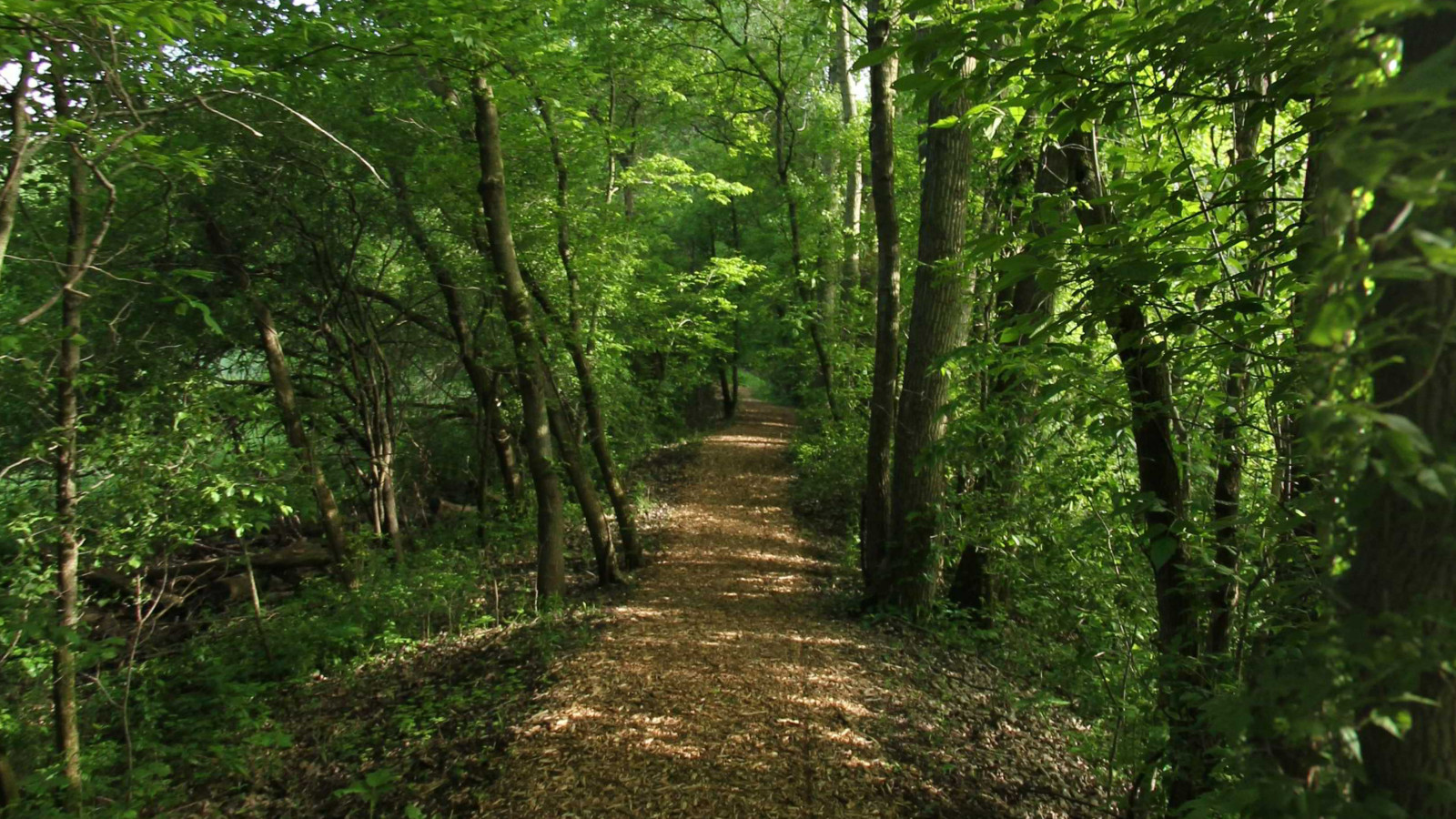 Recorded view from Immerman Park — Immerman 3 Loop