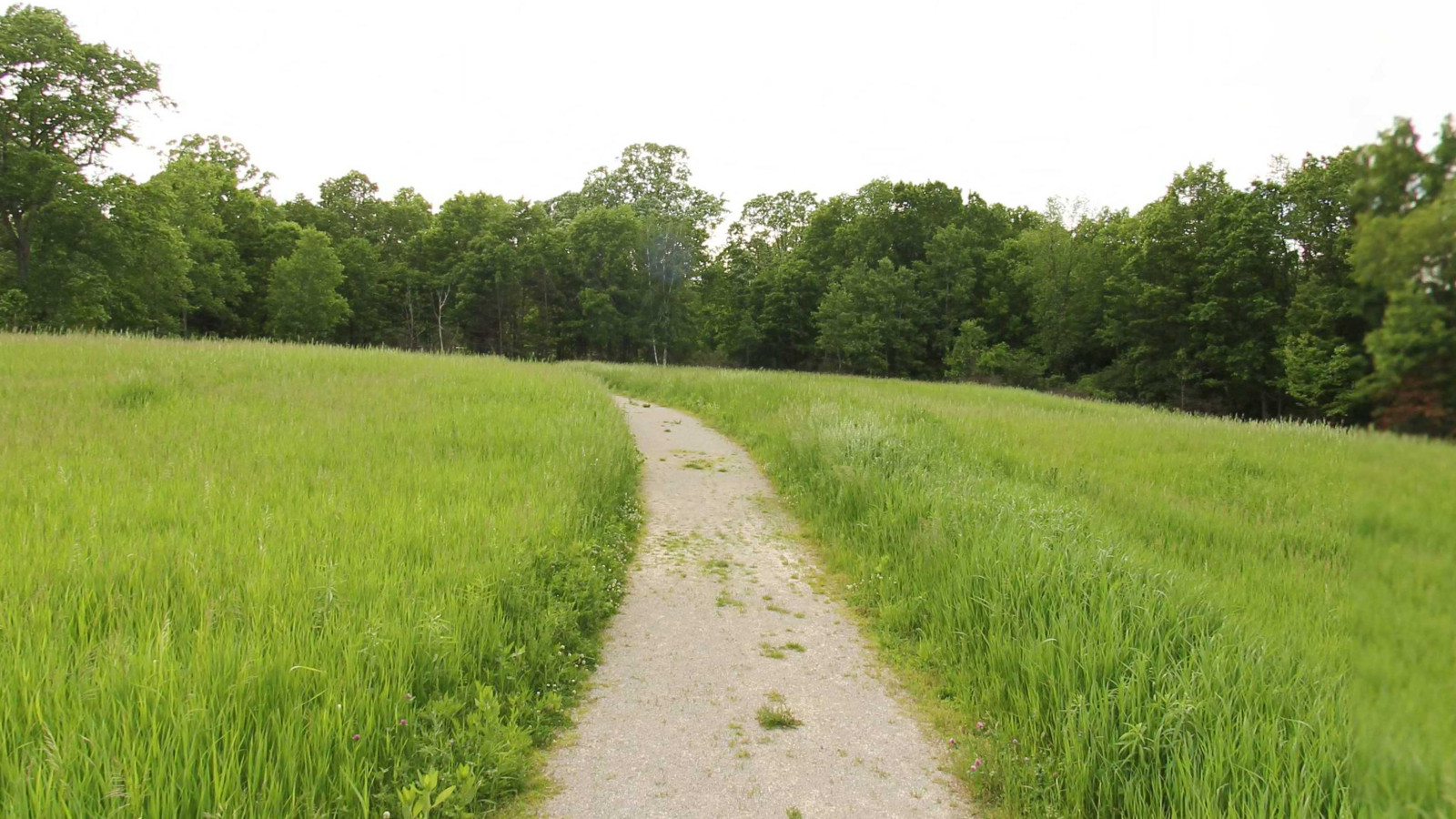 Recorded view from Highland Oaks County Park — Highland Oaks County Park Trail