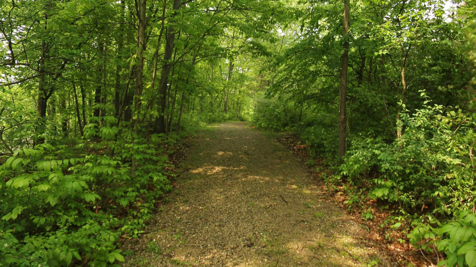 Recorded view from Robert Williams Nature Center — Nature Creek