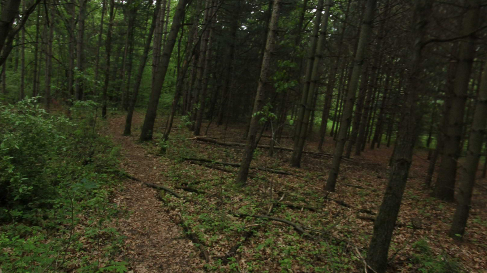 Recorded view from Dauner Martin Nature Sanctuary — Green Route · Fenton, MI