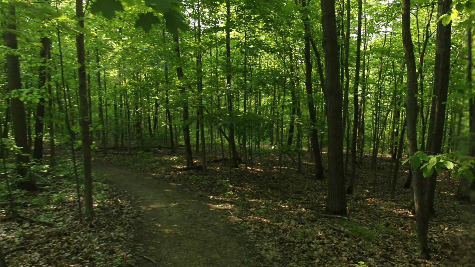 Recorded view from Atlas County Park — Atlas County Park Trail