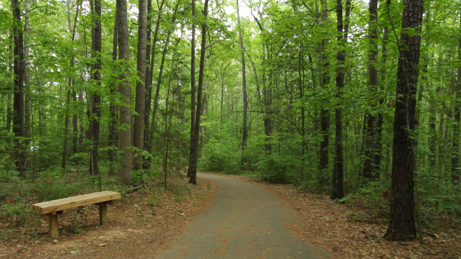 Recorded view from Henrico County Parks — Paved Loop Trail