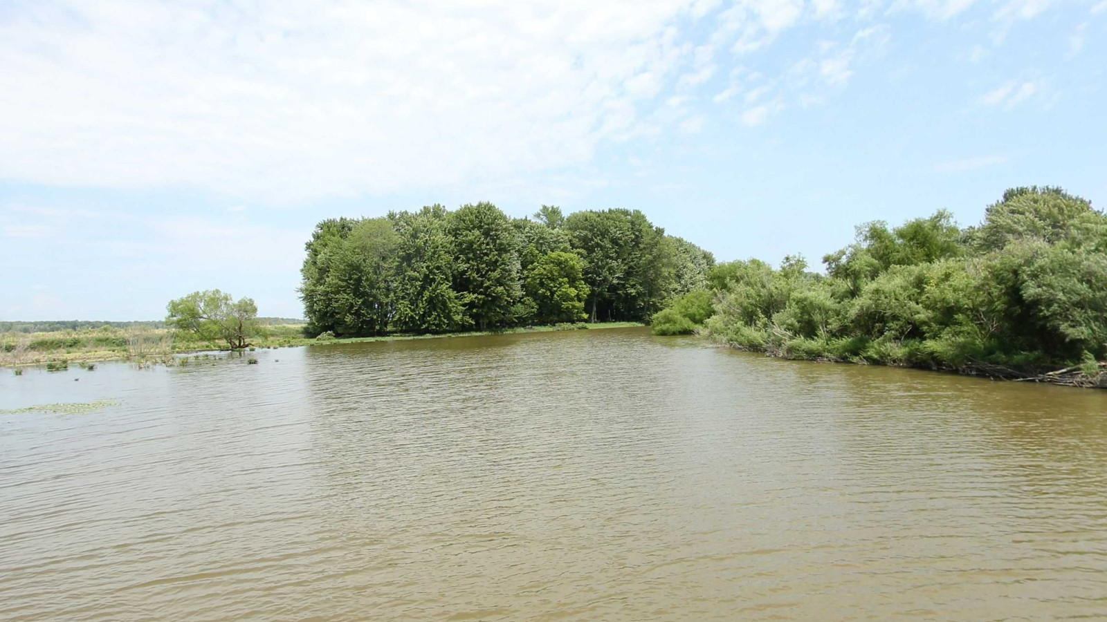 Recorded view from Shiawassee National Wildlife Refuge — Bad River