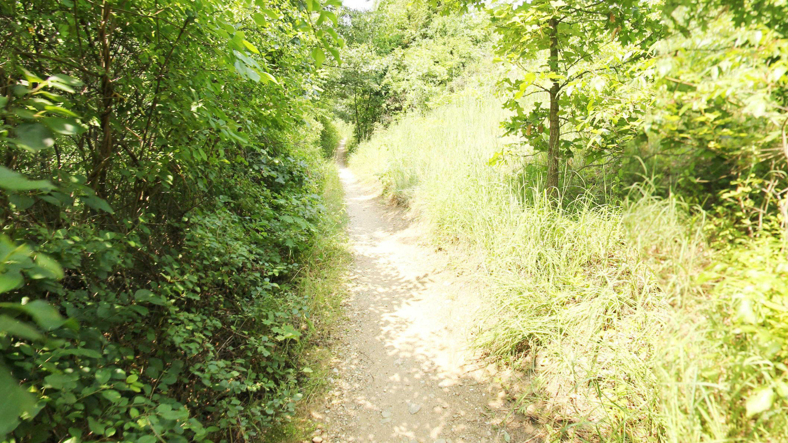 Recorded view from Michigan selections — Pontiac Lake State Park_Mountain Bike Trail
