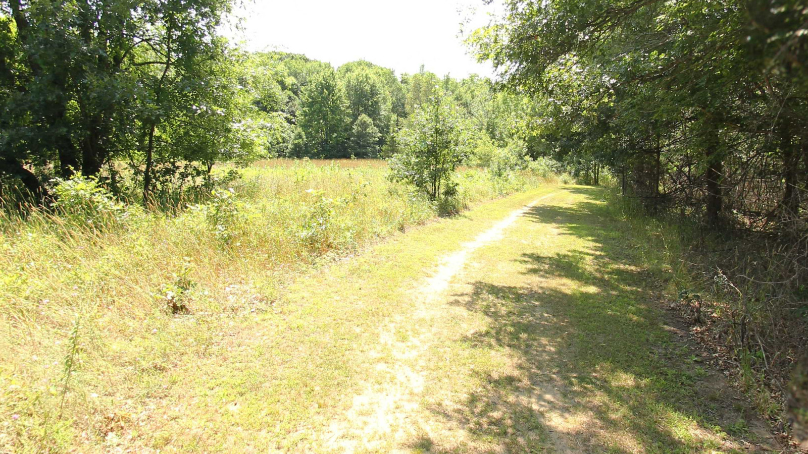 Recorded view from Orion Oaks County Parks Trails — Orion Oaks County Park Trail