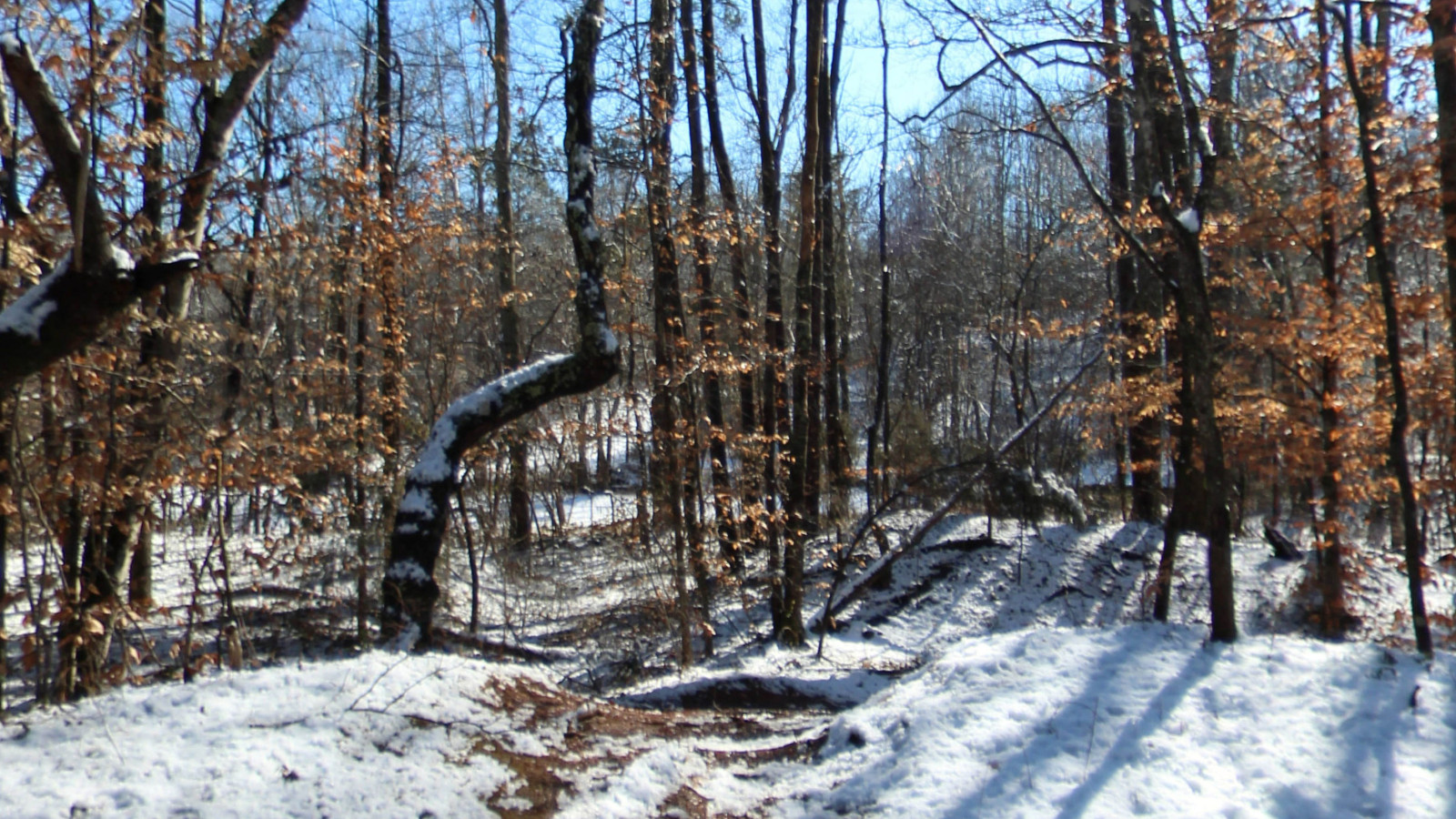 Recorded view from Appomattox Court House National Historical Park — Appomattox Court House Park Lee Trail