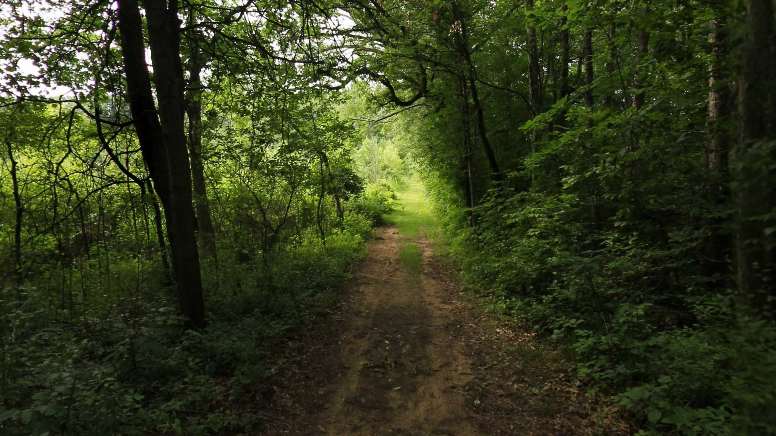 Recorded view from Rose Oaks County Park Trails — Esler Loop Trail: Buckhorn Lake Road to Big School