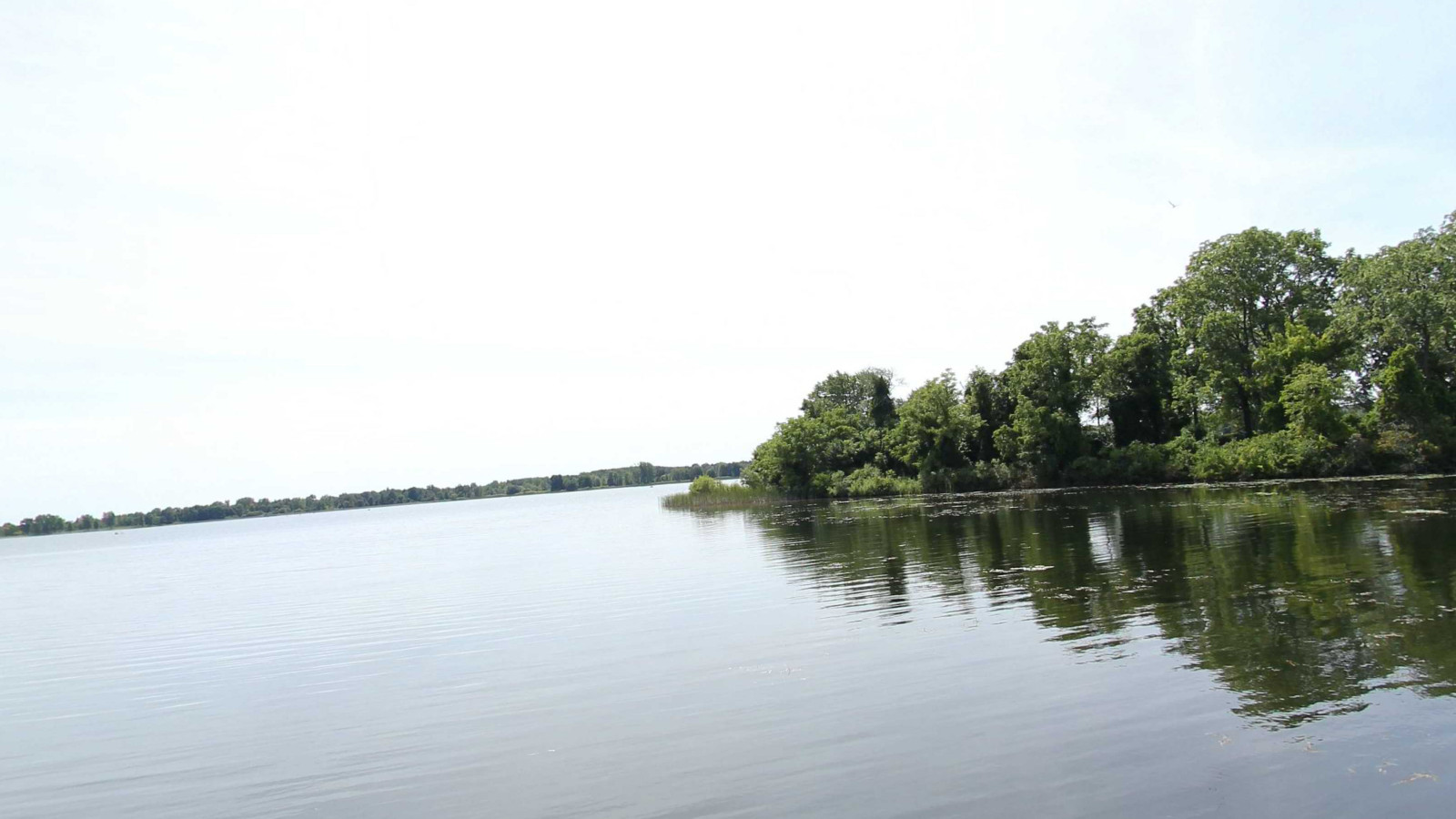 Recorded view from Stony Creek Metropark — Stoney Creek Lake