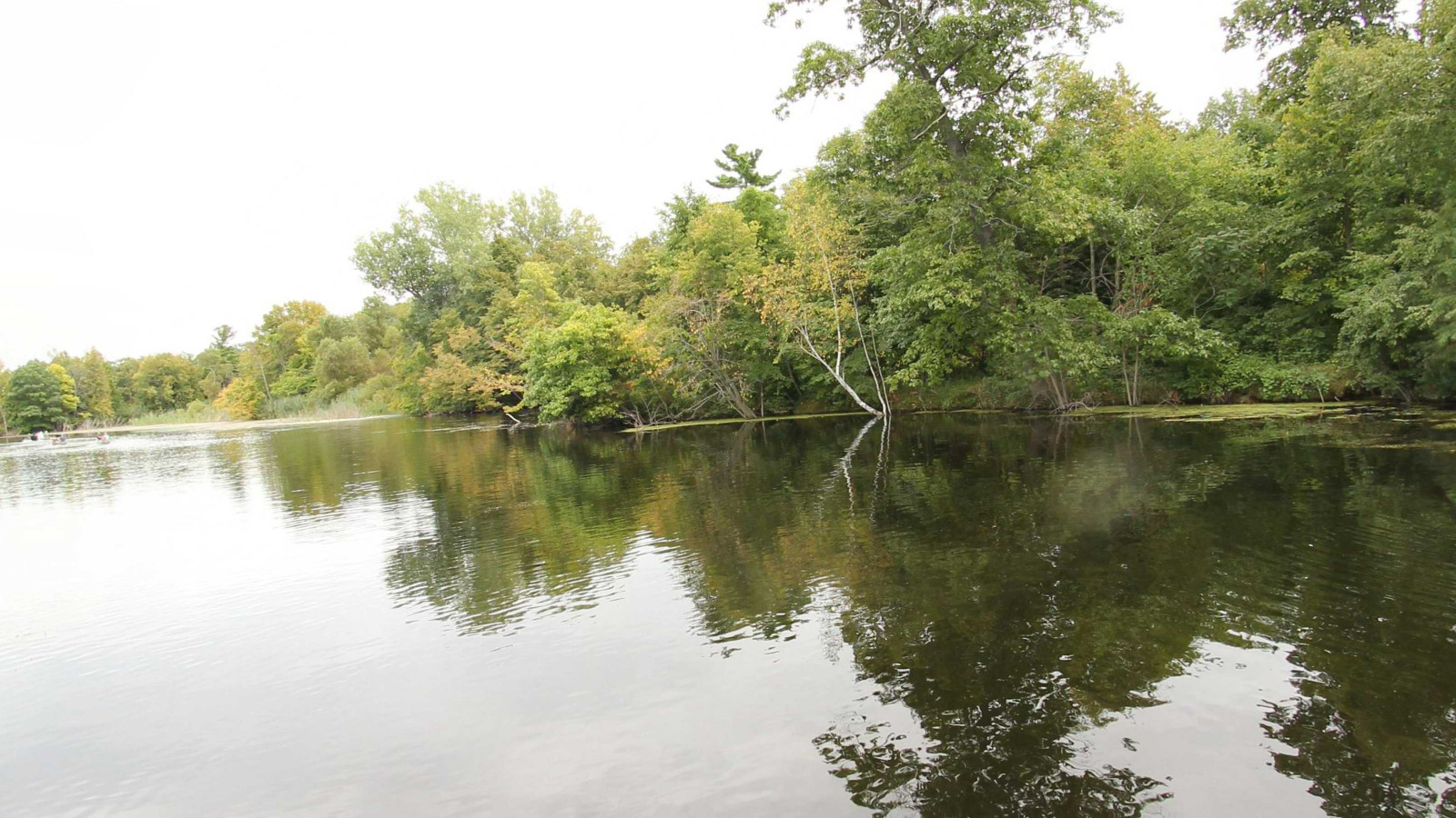Recorded view from Pinnebog River — Pinnebog DownStream