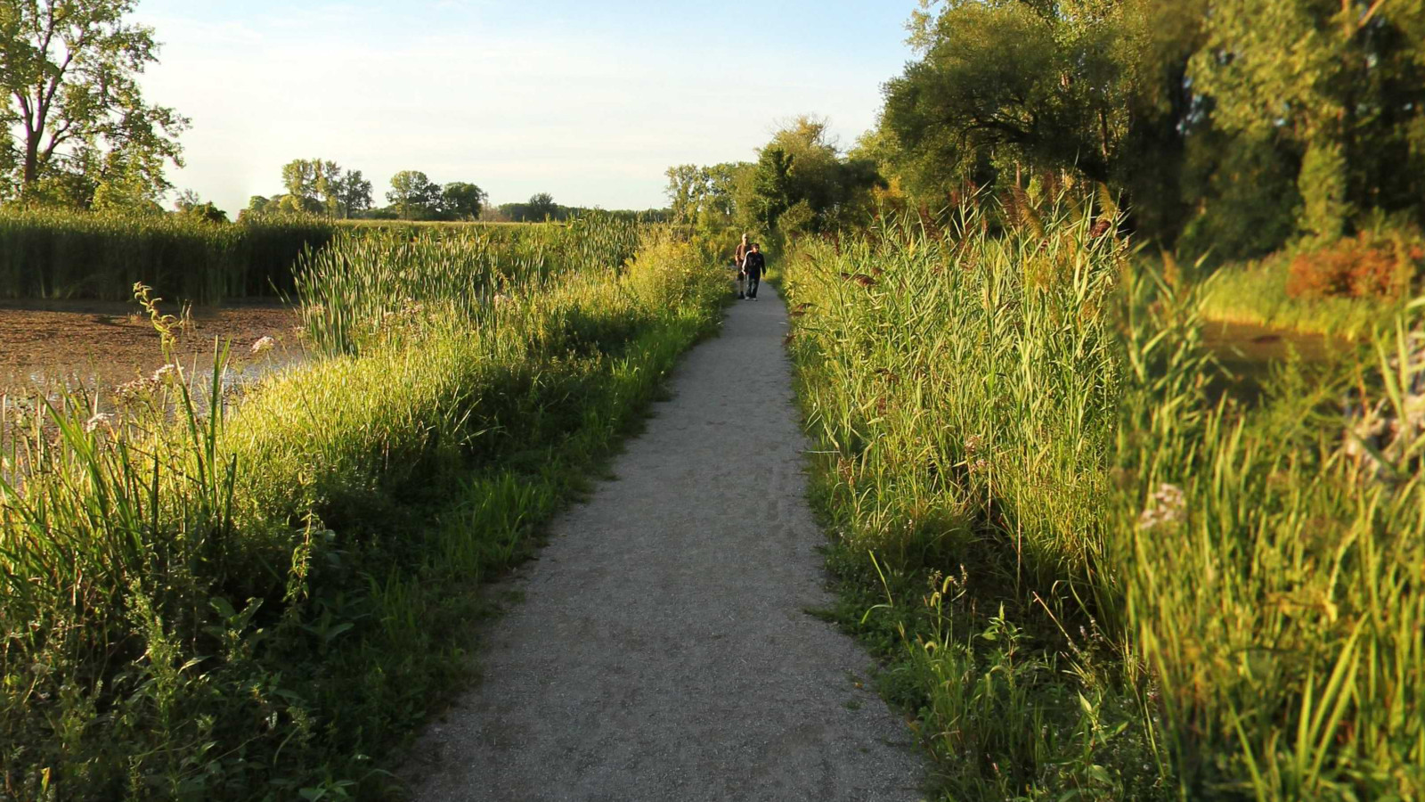 Recorded view from St. Clair Metropark — Lake St. Clair Metropark Nature Trail