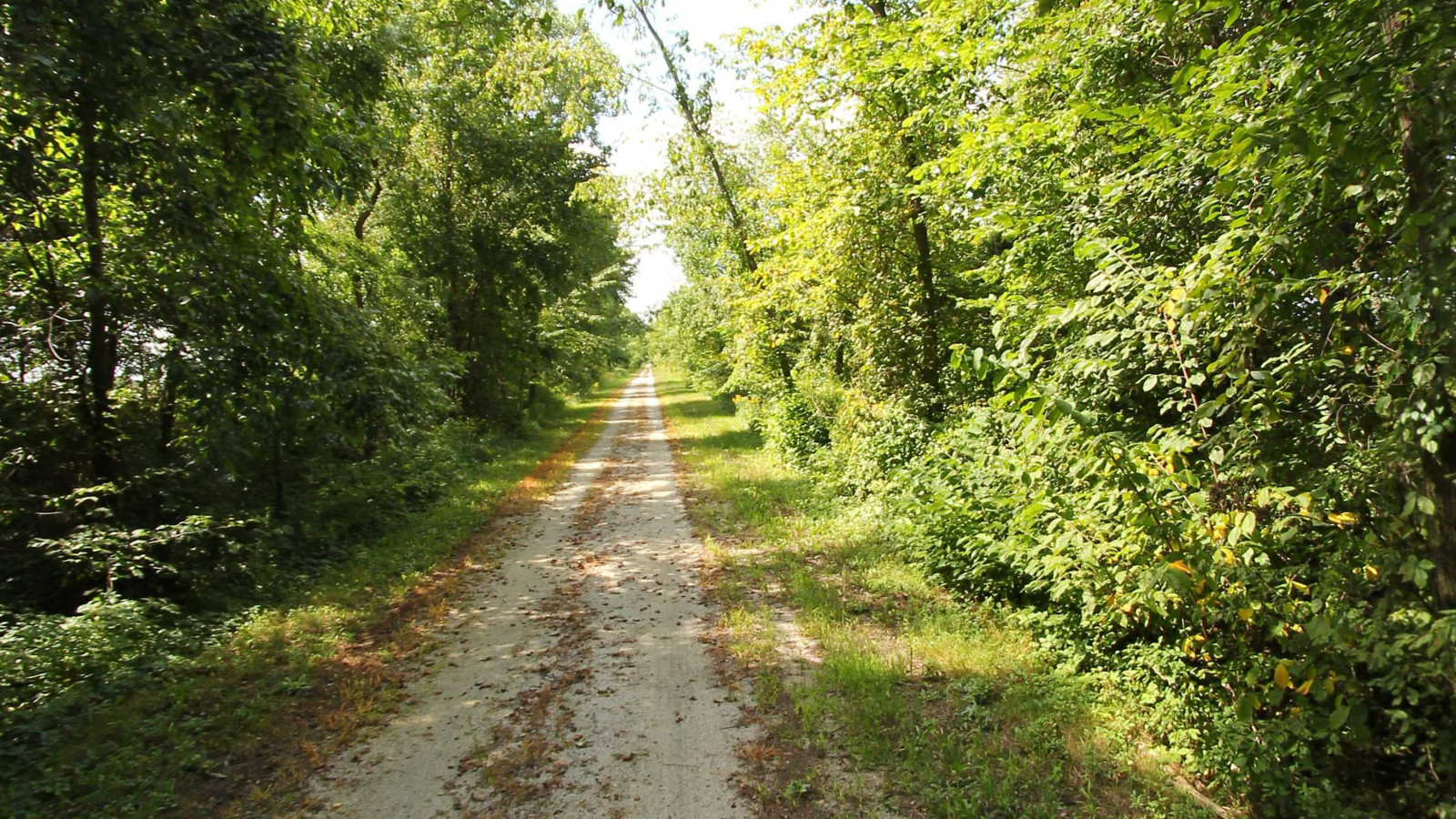 Recorded view from Fred Meijer Clinton-Ionia-Shiawassee Trail — Fred Meijer Clinton-Ionia-Shiawassee Trail