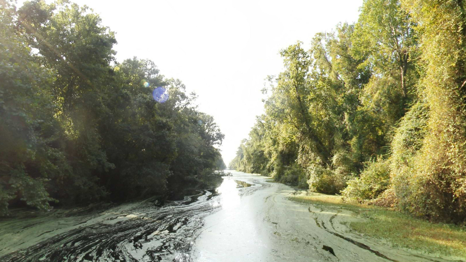 Recorded view from Dismal Swamp Canal — Arbuckle Landing to South Mills