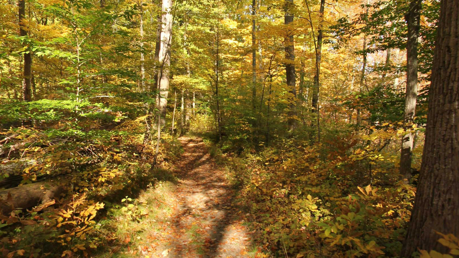 Recorded view from Highland State Recreation Area — Haven Hill Trail