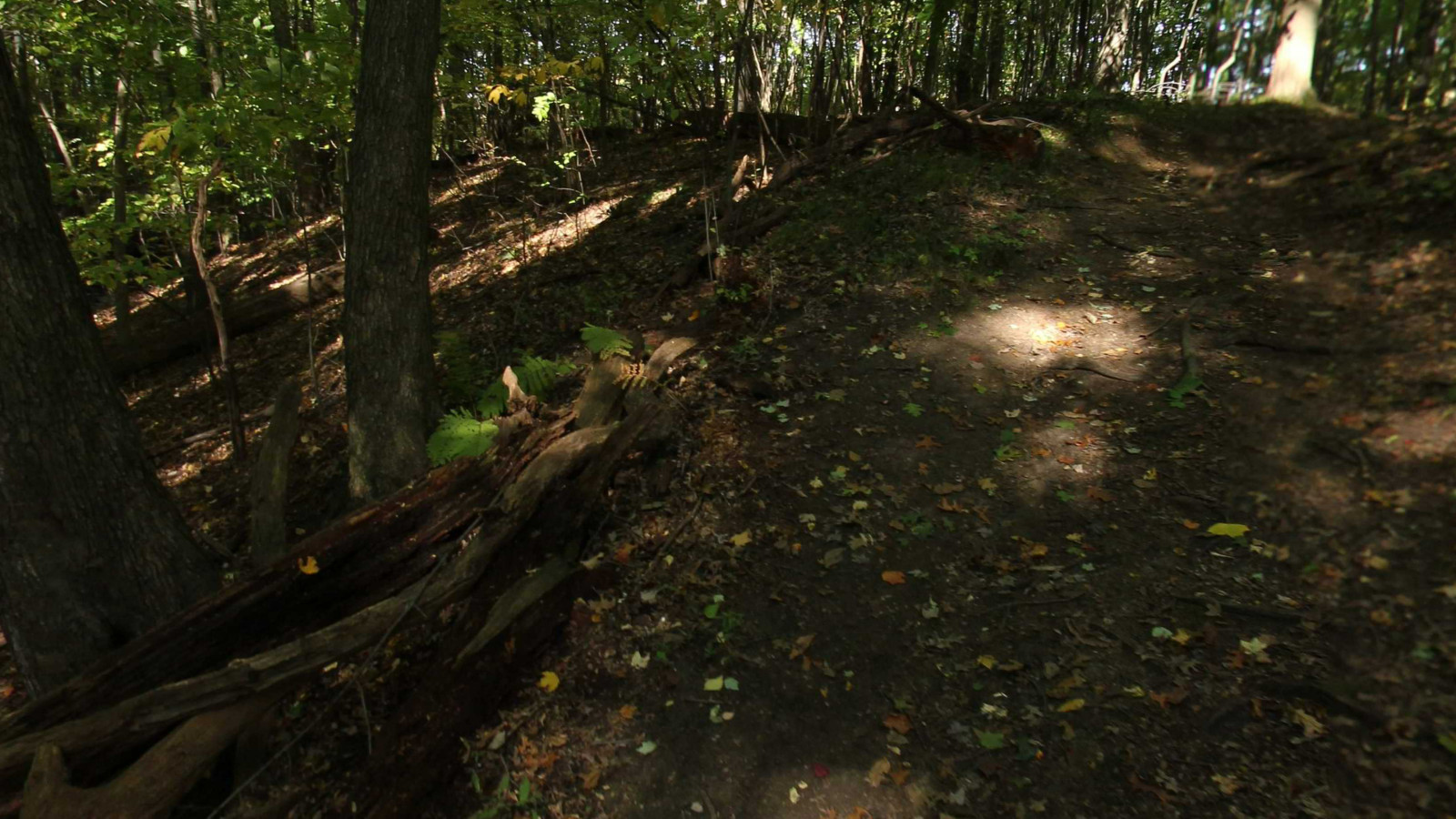 Recorded view from Holliday Nature Preserve — Holiday Nature Preserve