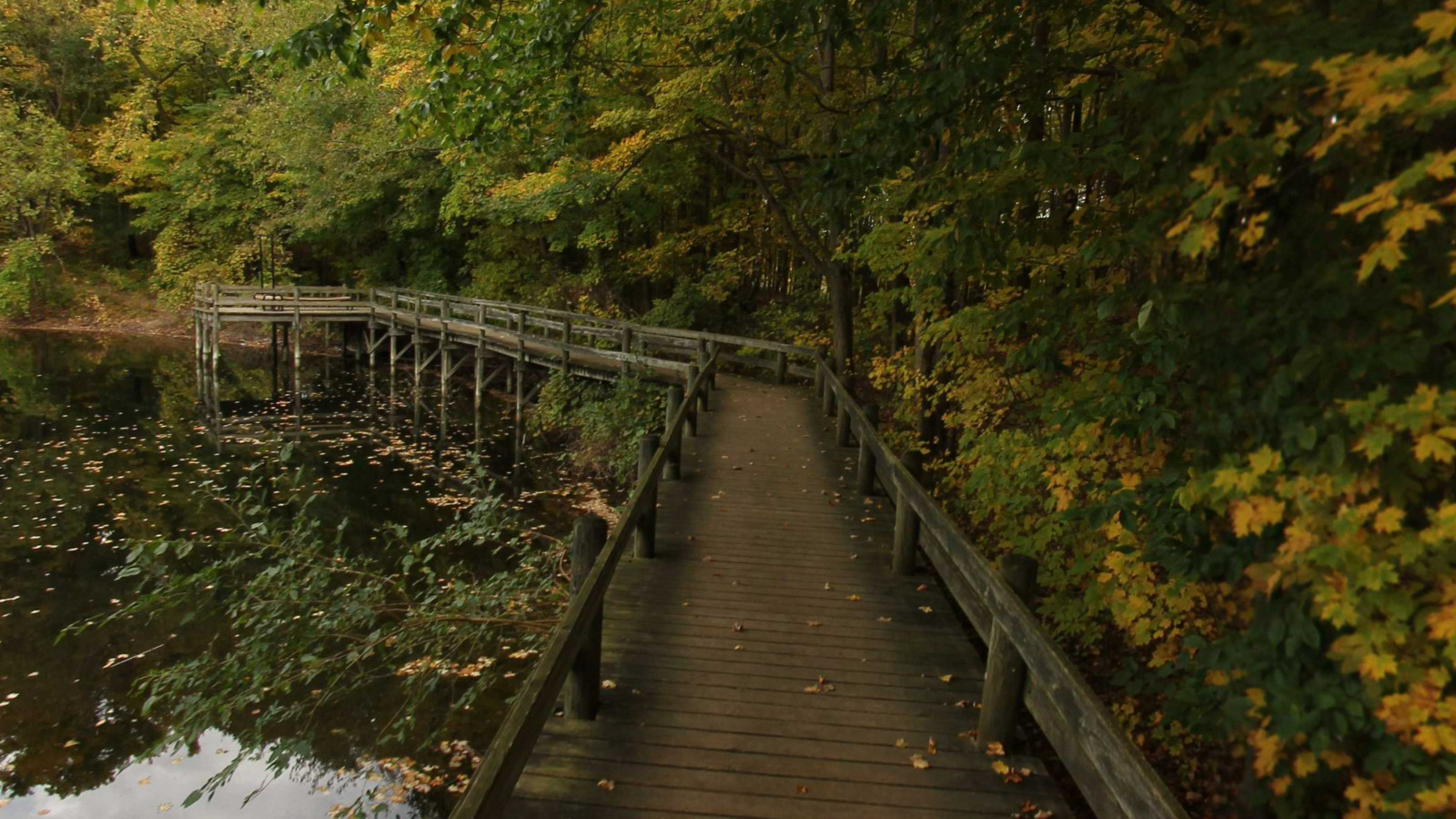 Recorded view from Maybury State Park — Maybury State Park Hiking Trail