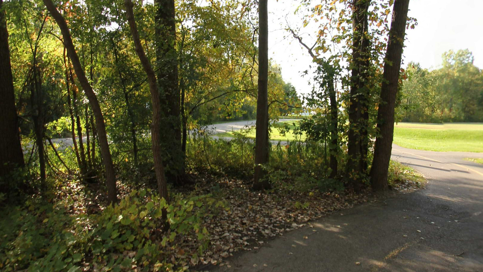 Recorded view from City of Taylor Trail Network — City of Taylor Trail Network
