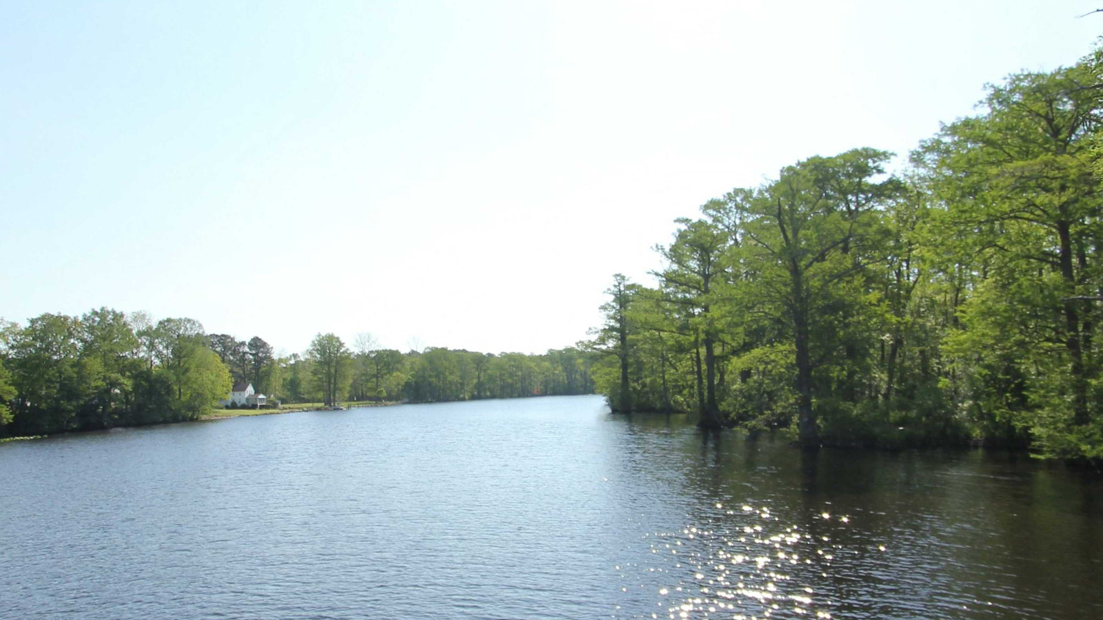 Recorded view from Pocomoke River — Pocomoke right bank
