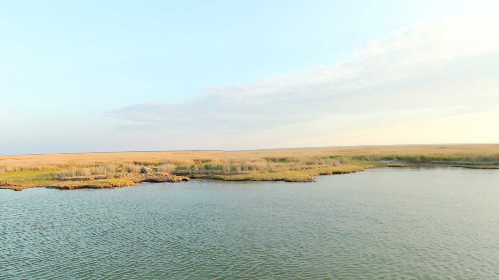 Recorded view from Bloodsworth Island — Bloodsworth Island