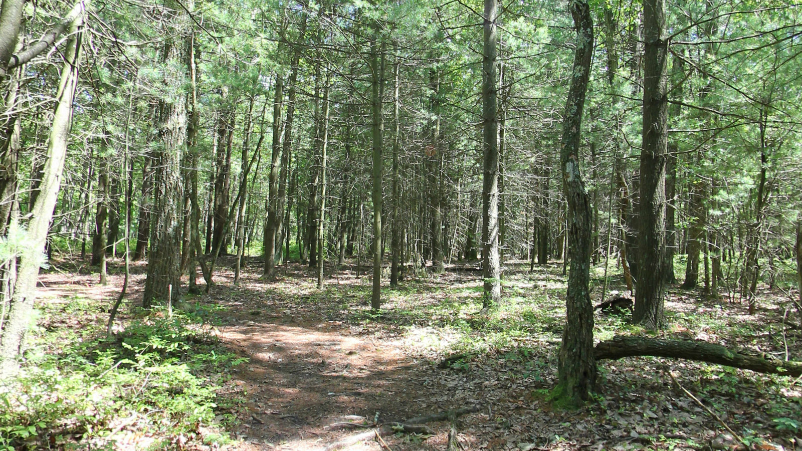 Recorded view from Pennsylvania selections — AT Caledonia Park to Pine Grove Furnace