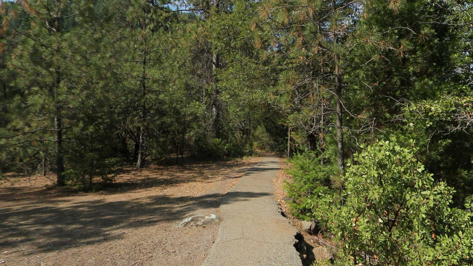 Recorded view from Upper Sacramento River — Simms Flat Campground