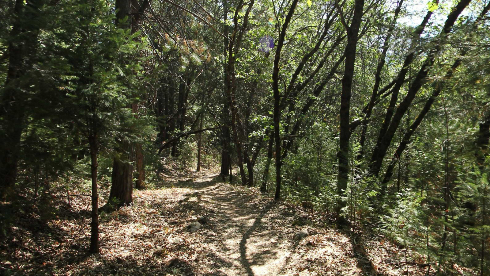 Recorded view from Castle Crags State Park — Indian Creek Trail · Lakehead, CA