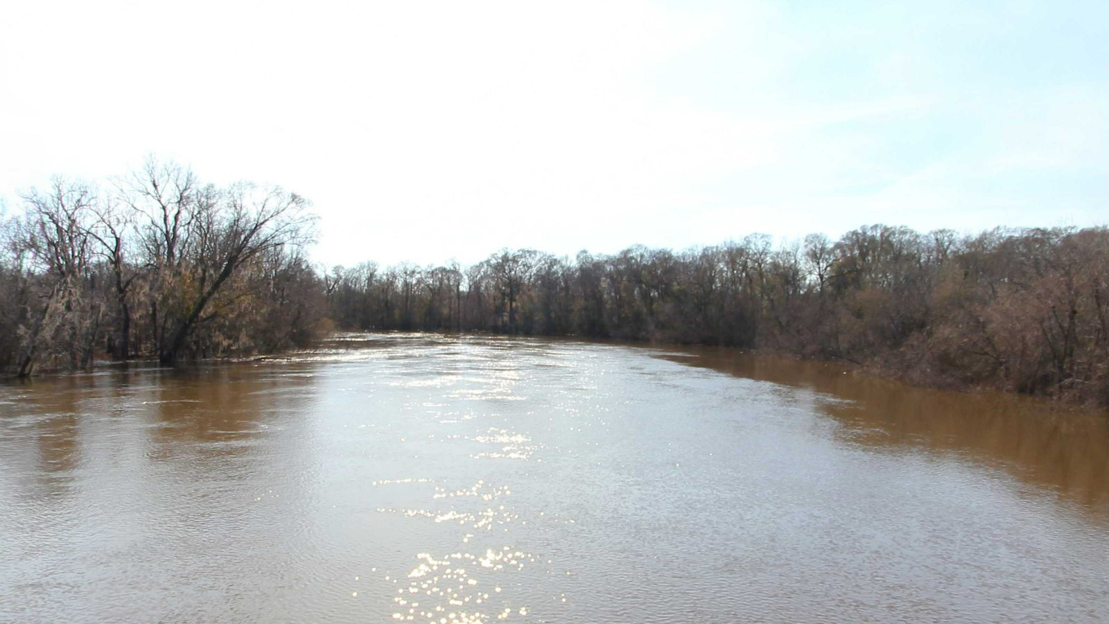Recorded view from Altamaha River — Oglethorpe Bluff Landing - Altamaha regional Park Landing