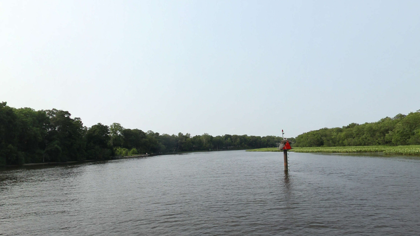 Recorded view from Delaware selections — Marshyhope to Seaford DE