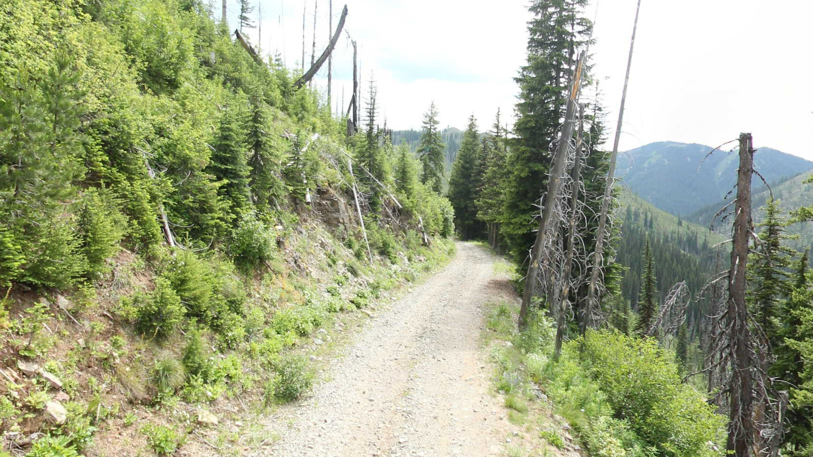Recorded view from Lolo Trail — Lolo Trail to Nee Me Poo Trail #40
