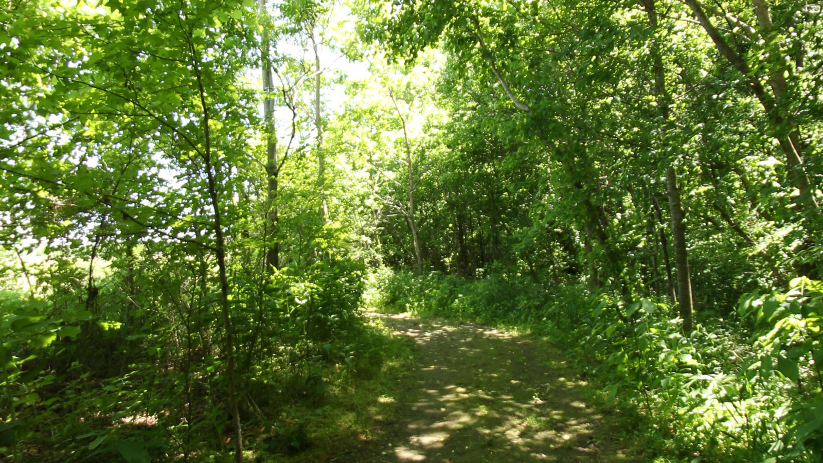 Recorded view from Powhatan State Park — Gold Dust Trail