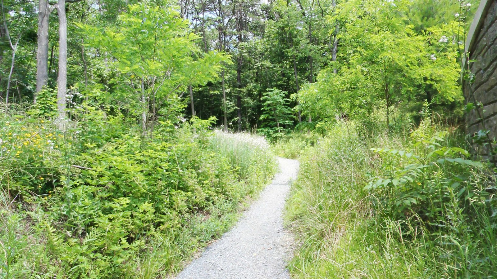 Route 944 to Duncannon