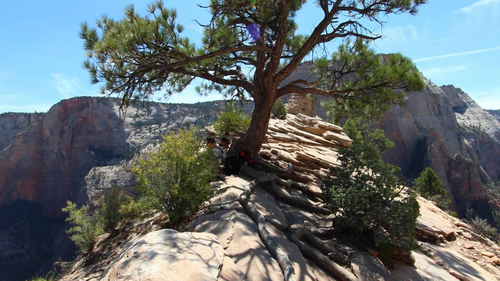Open upper ridge