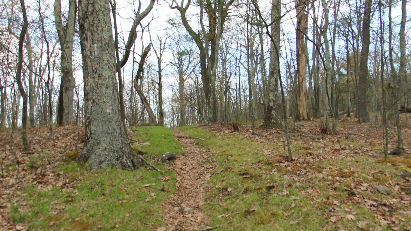 Bearfence Mountain section