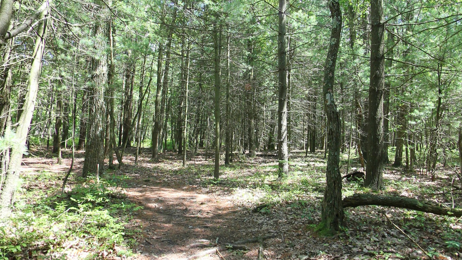Caledonia to Pine Grove Furnace