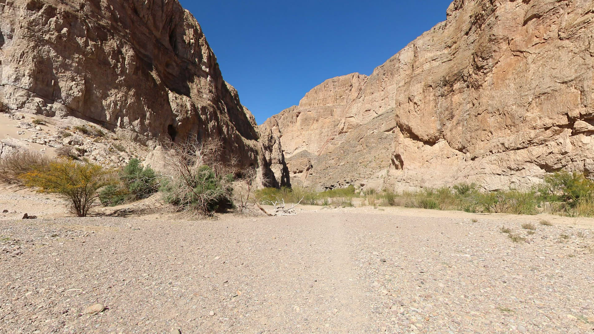 Big Bend National Park