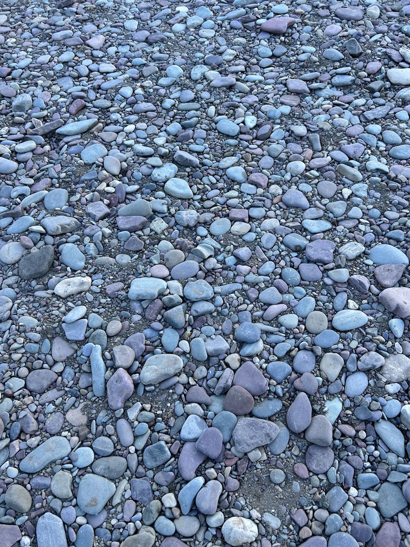 The cobble bar at Blankenship West on the Middle Fork