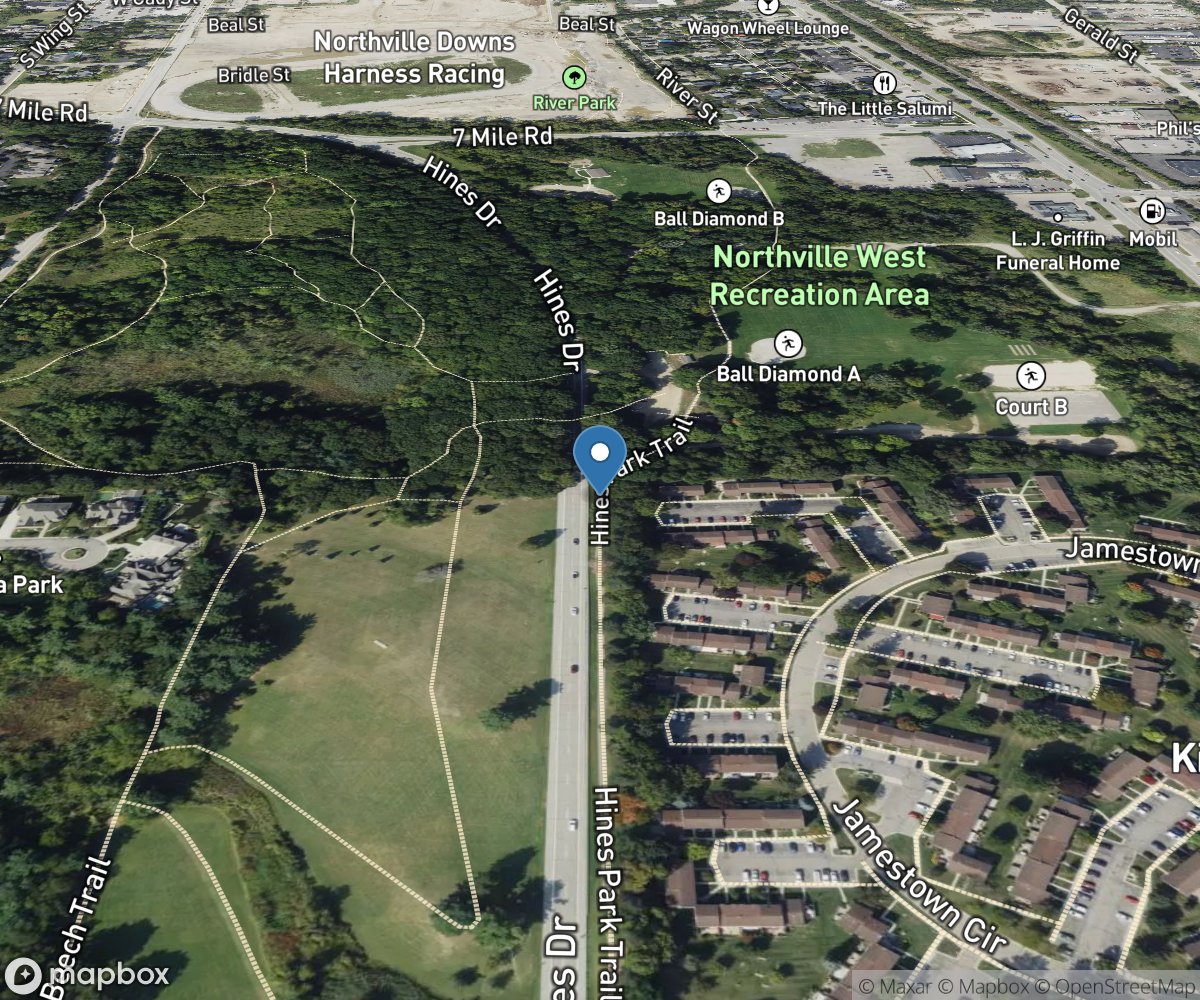 Hines Park Trail