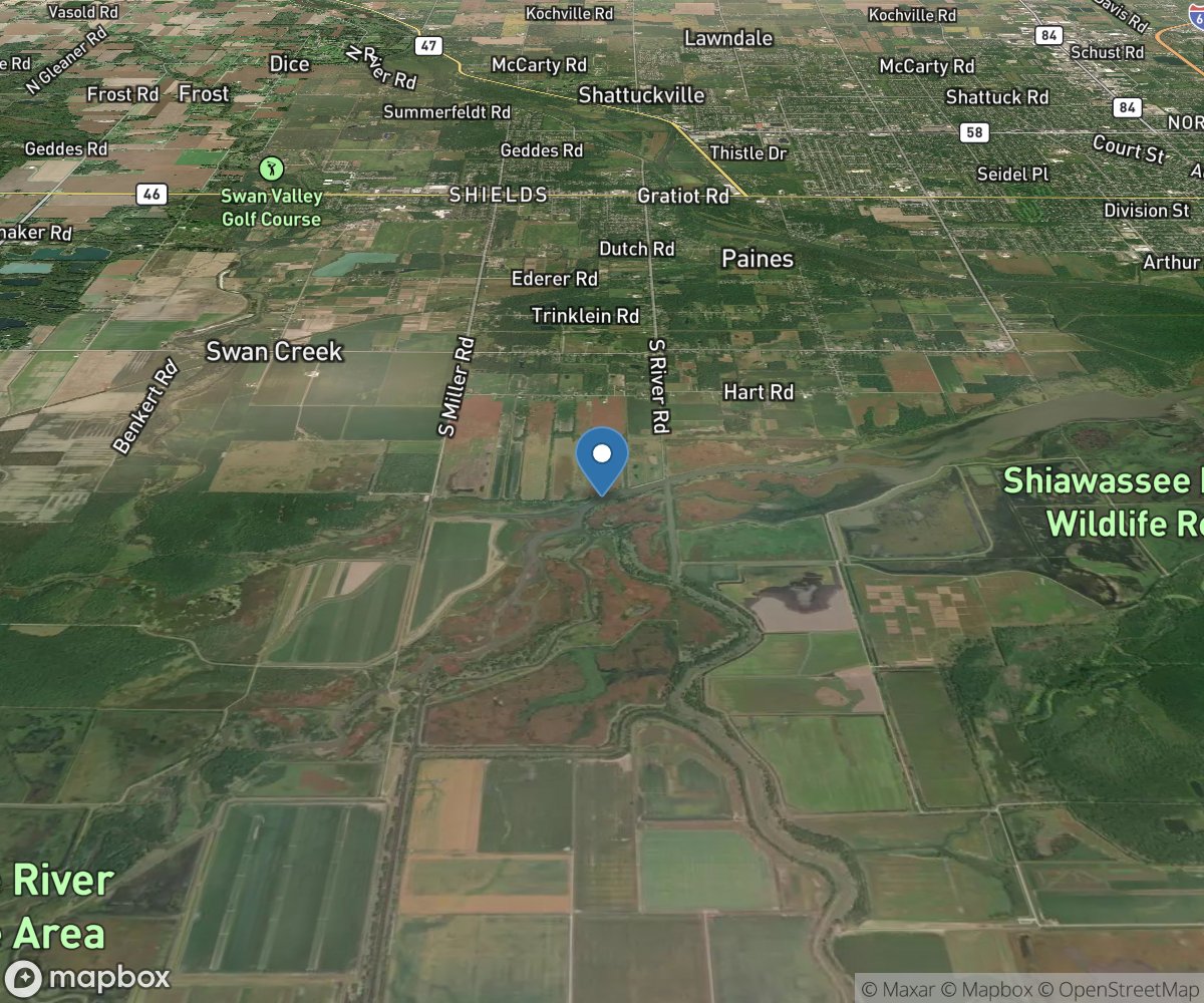 Shiawassee River