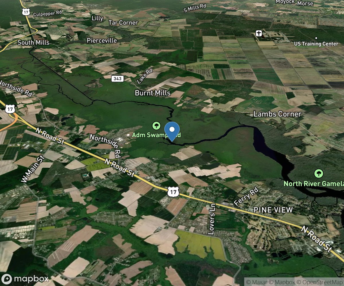 Dismal Swamp Canal