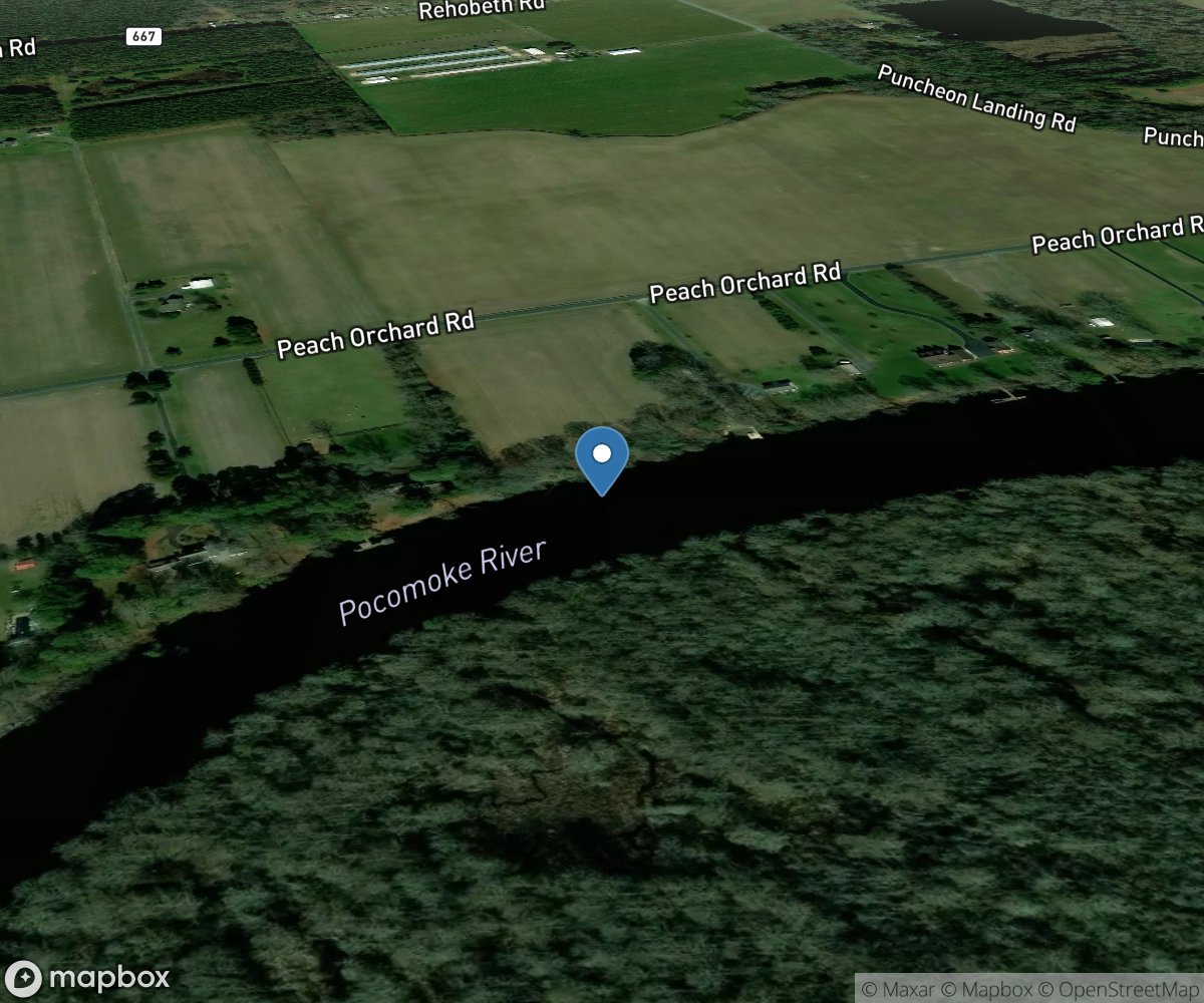 Pocomoke River