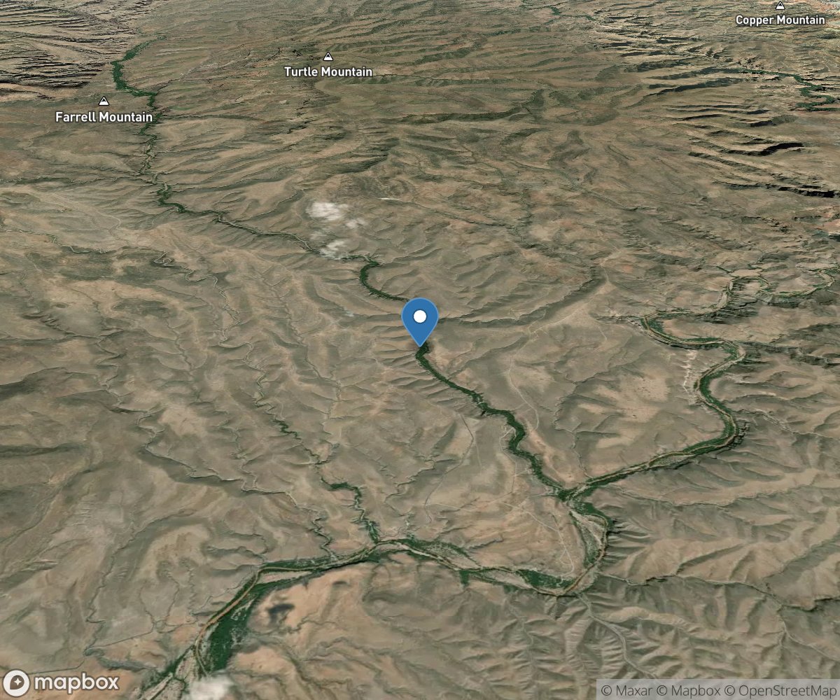 Gila Box Riparian Area