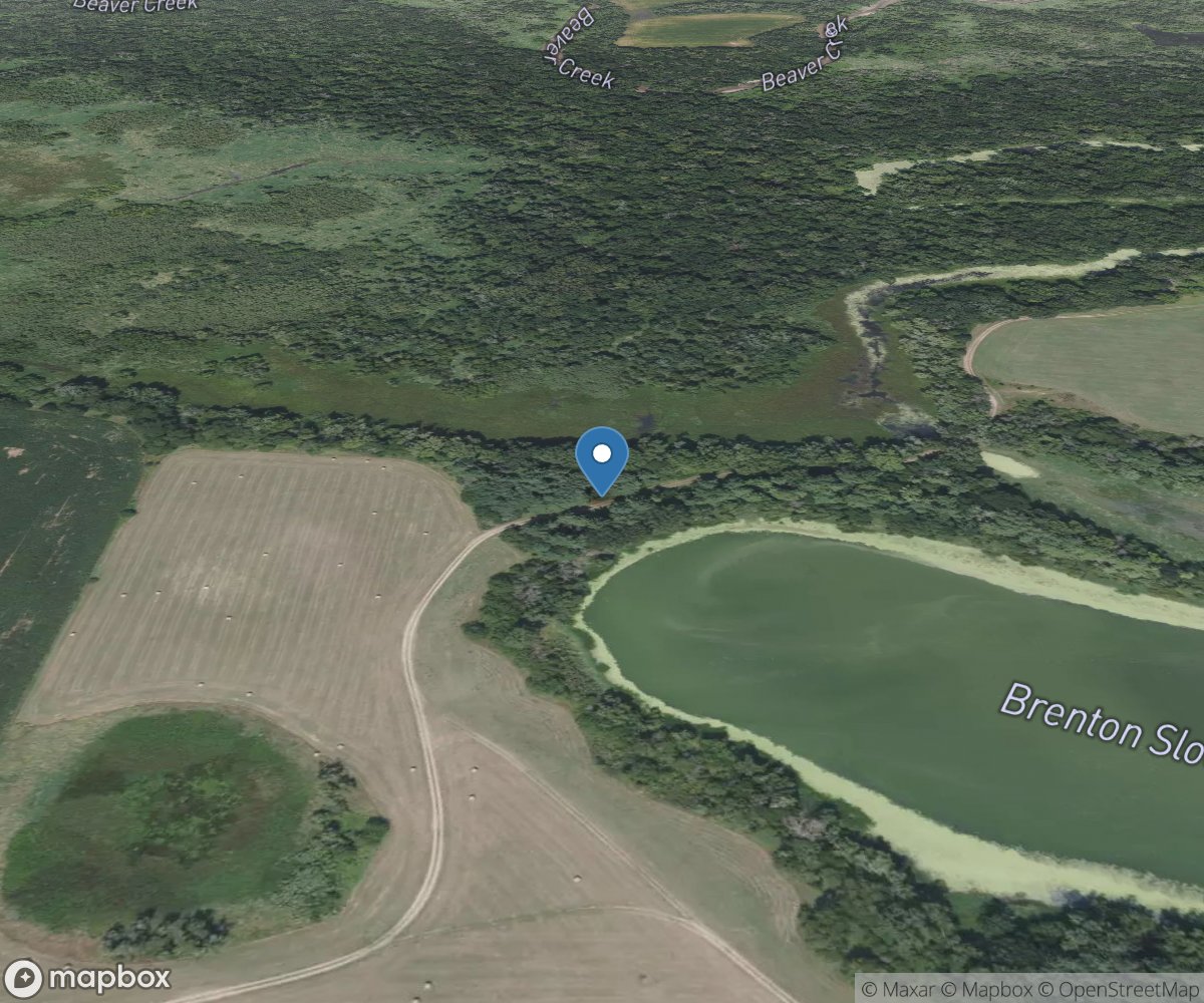 Brenton Slough