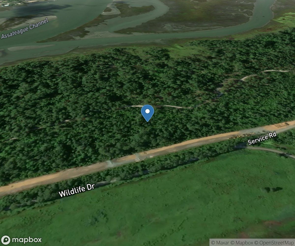 Chincoteague National Wildlife Refuge