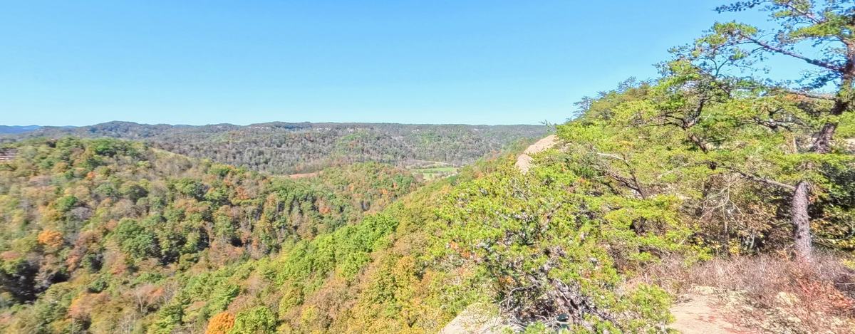Ridge-top 360 view over the fall forest of the Red River Gorge from Auxier Ridge