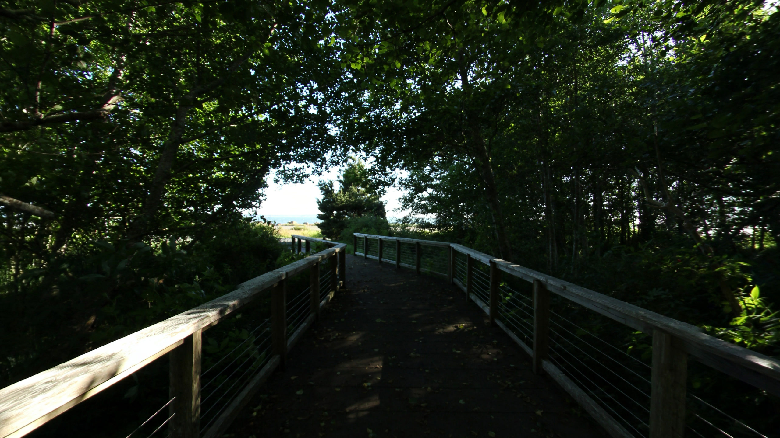Terrain360 panorama near Station Camp, Columbia River Estuary, Washington